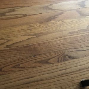 Meet your Posher, Sidney